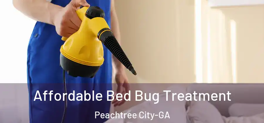 Affordable Bed Bug Treatment Peachtree City-GA
