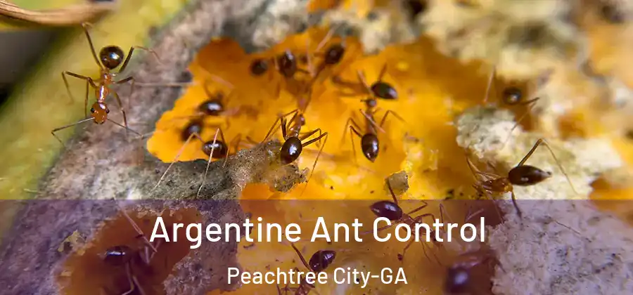 Argentine Ant Control Peachtree City-GA