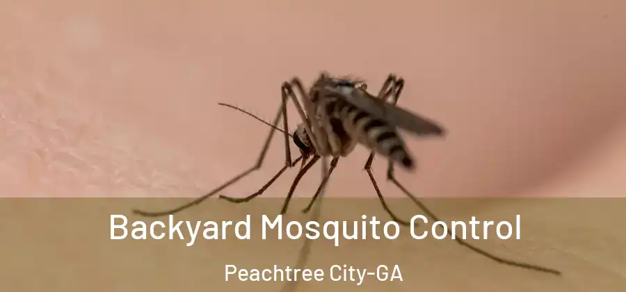 Backyard Mosquito Control Peachtree City-GA