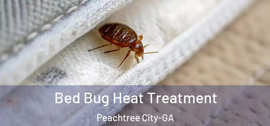 Bed Bug Heat Treatment Peachtree City-GA
