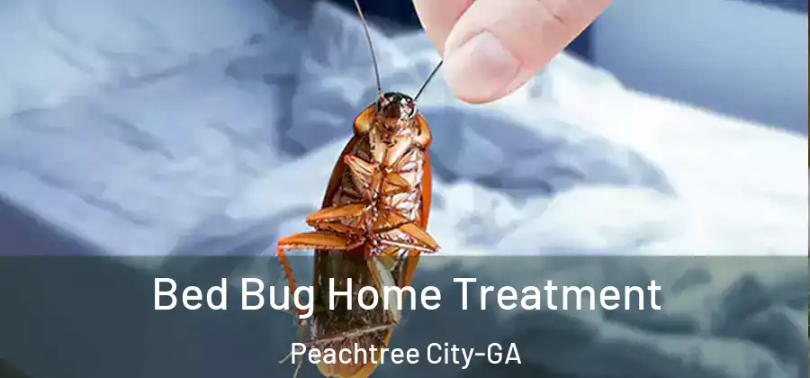 Bed Bug Home Treatment Peachtree City-GA