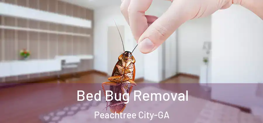 Bed Bug Removal Peachtree City-GA
