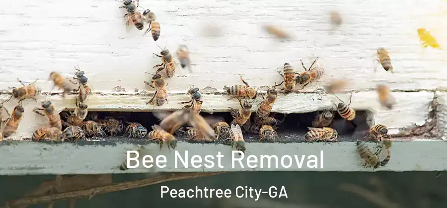Bee Nest Removal Peachtree City-GA