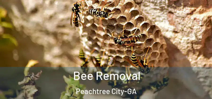 Bee Removal Peachtree City-GA