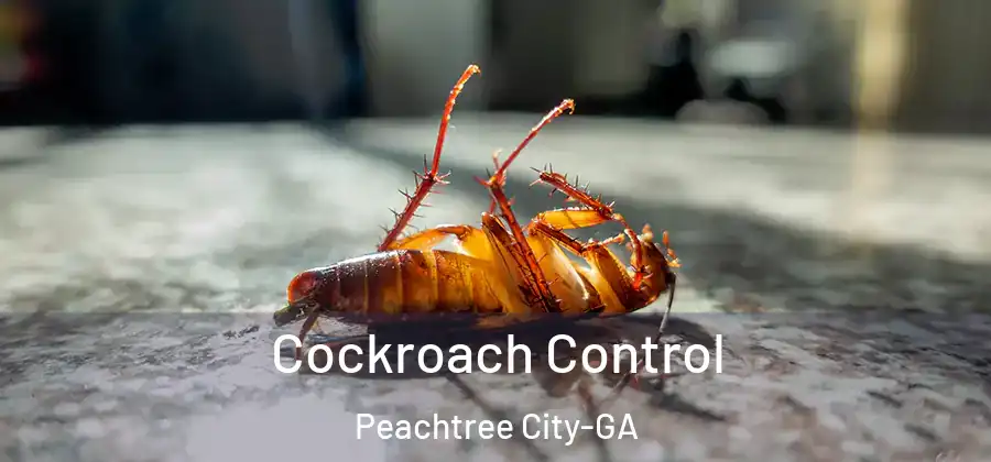 Cockroach Control Peachtree City-GA