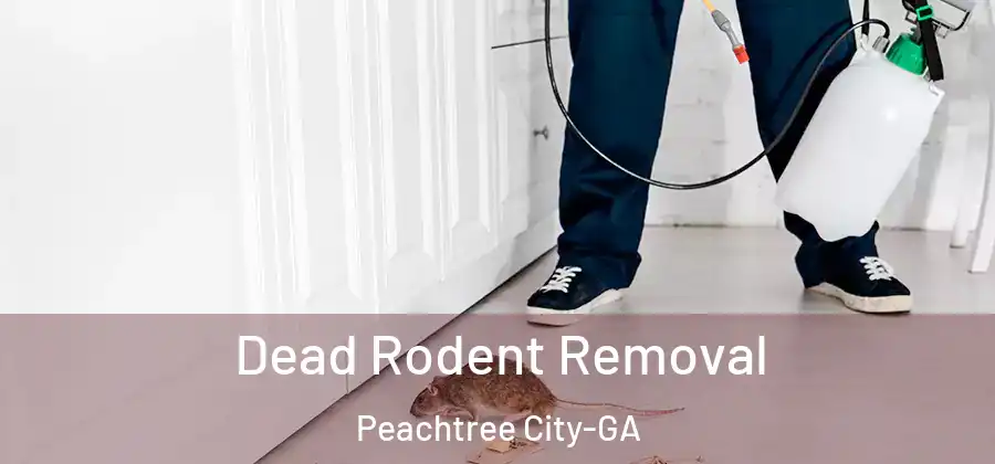 Dead Rodent Removal Peachtree City-GA