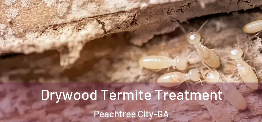 Drywood Termite Treatment Peachtree City-GA
