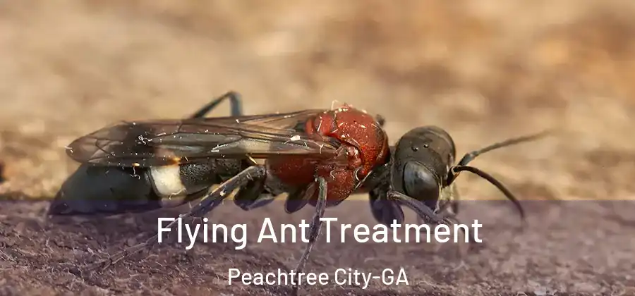Flying Ant Treatment Peachtree City-GA