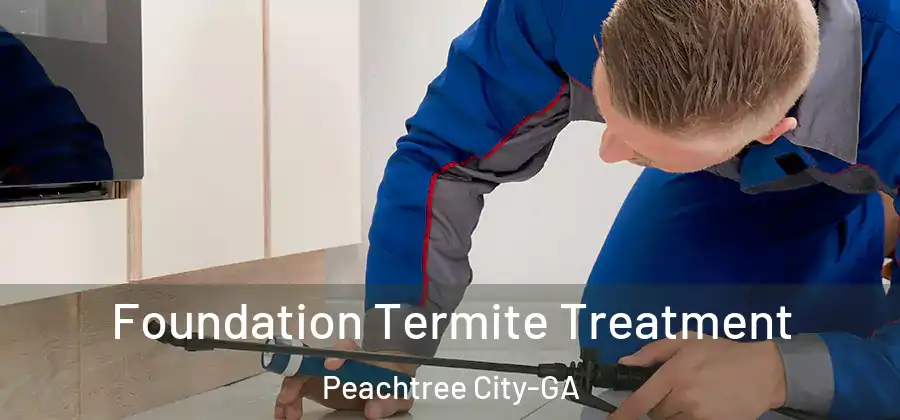 Foundation Termite Treatment Peachtree City-GA