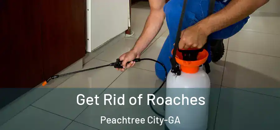 Get Rid of Roaches Peachtree City-GA