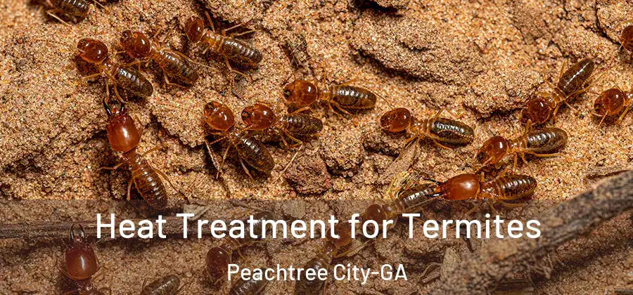 Heat Treatment for Termites Peachtree City-GA