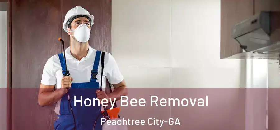 Honey Bee Removal Peachtree City-GA