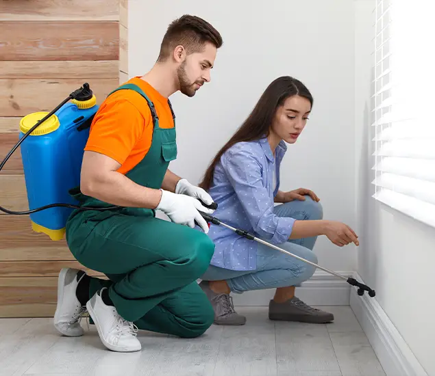 Trusted Affordable Bed Bug Treatment Experts in Peachtree City, GA