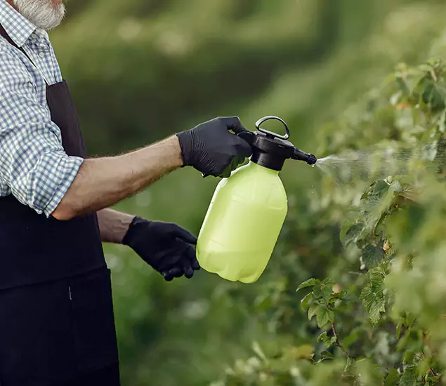 Your Proven Mosquito Treatment Company in Peachtree City, GA