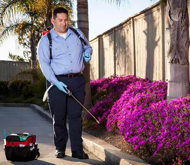 About Our Eco Safe Pest Control Experts in Peachtree City, GA