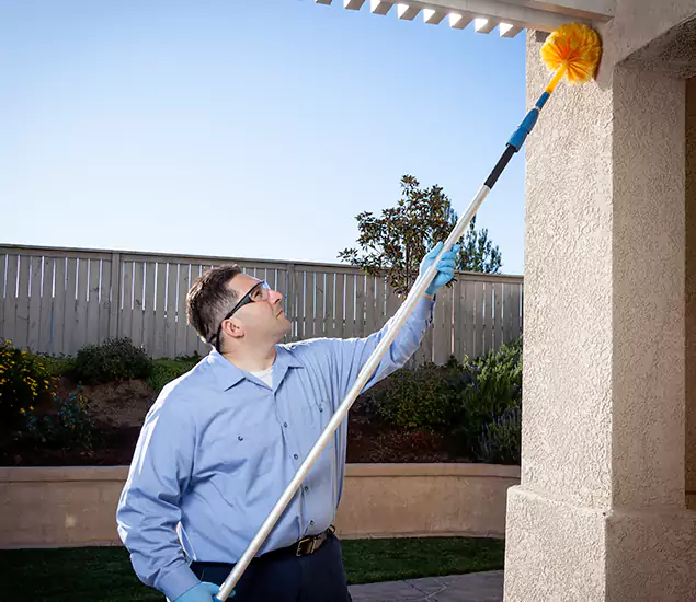 Trusted Experts in Peachtree City GA for Formosan Termite Treatment and Black Termite Control