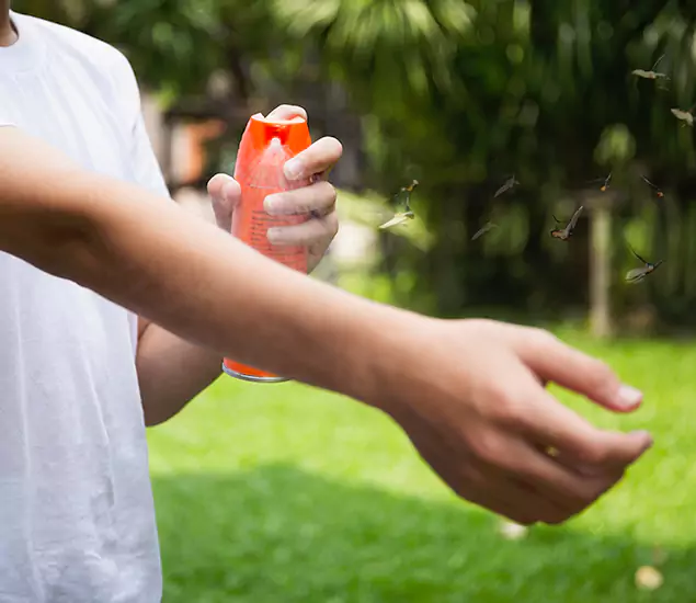 Your Best Indoor Bug Killer Team in Peachtree City, GA