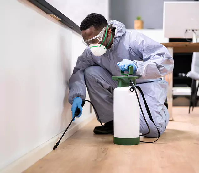 Leading Industrial Pest Control Experts Serving Peachtree City, GA