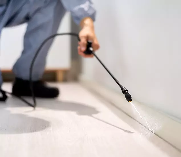 About Our Liquid Termite Treatment Experts in Peachtree City, GA