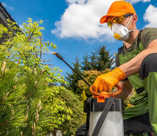 Reliable Mosquito Pest Control Services: Your Proven Mosquito Specialist in Peachtree City, GA