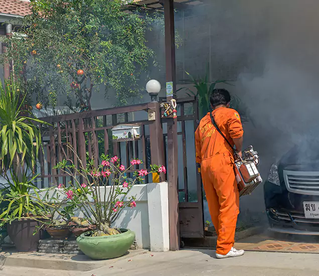 Your Proven Mosquito Fogging Company in Peachtree City, GA
