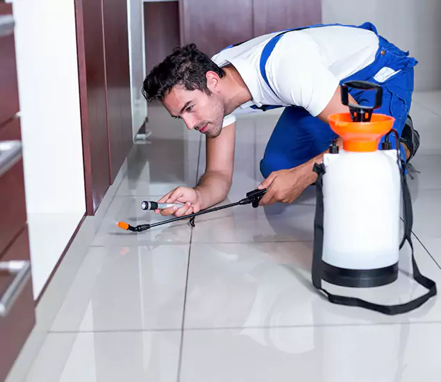 Reliable Professional Mouse Removal: Your Best Mouse Control Company in Peachtree City, GA