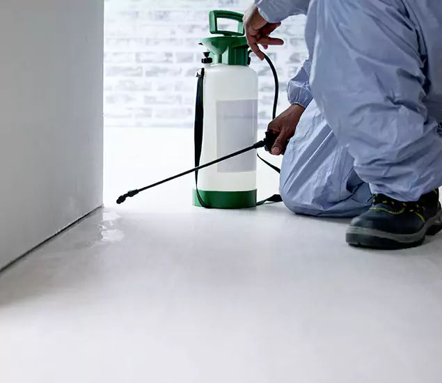 Affordable Pest Control Experts in Peachtree City, GA