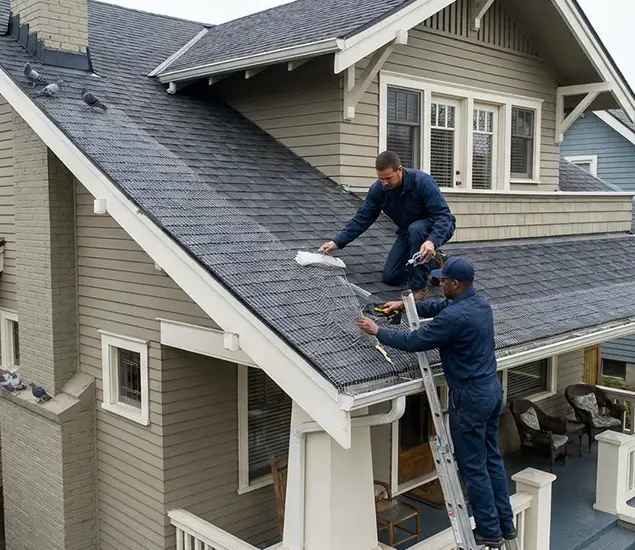 Your Pigeon Control Experts in Peachtree City, GA