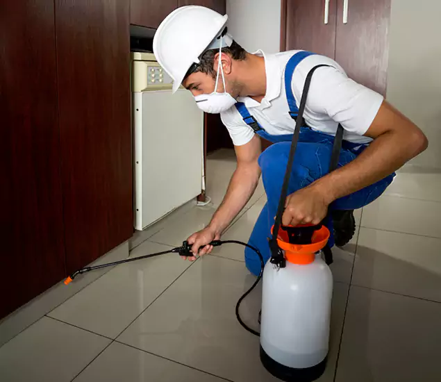 Advanced Termite Pre Treatment Experts in Peachtree City, GA