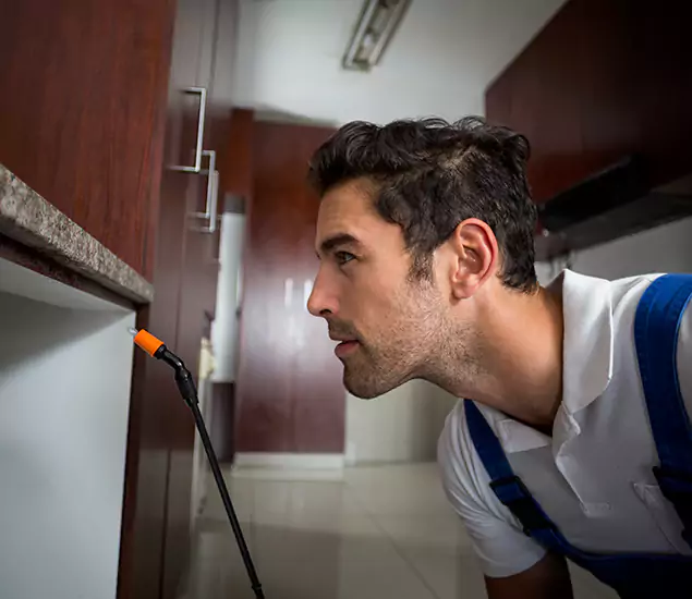 Expert Rodent in Attic Removal: Your Proven Pest Specialists in Peachtree City, GA