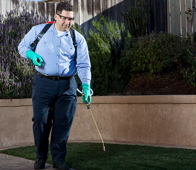 Reliable Termite Barrier Treatment Experts in Peachtree City, GA