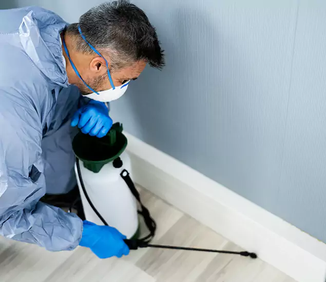 Reliable Termite Cost Experts in Peachtree City, GA