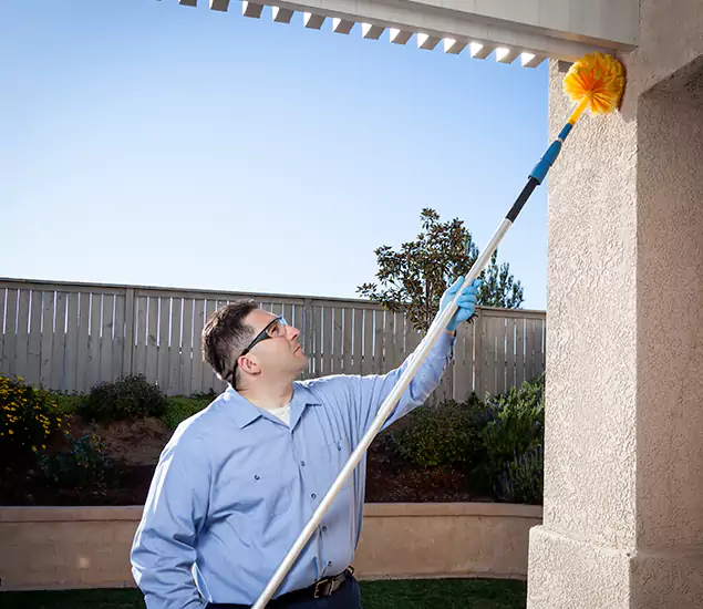 Your Trusted Wasp Removal Company in Peachtree City, GA