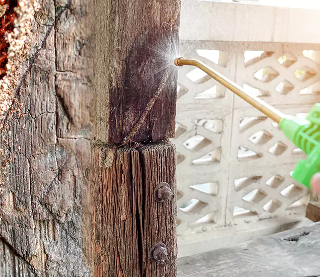 About Wood Termite Treatment Services in Peachtree City, GA