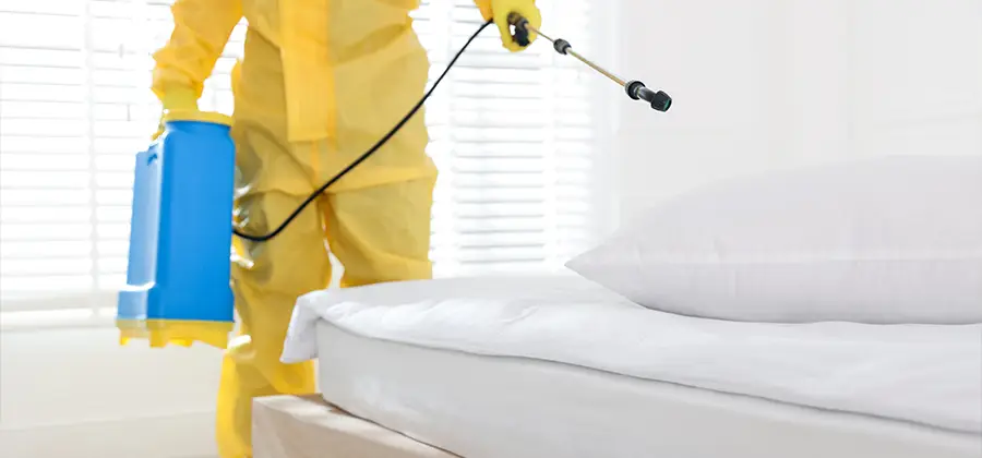 Targeted Chemical Application in Peachtree City