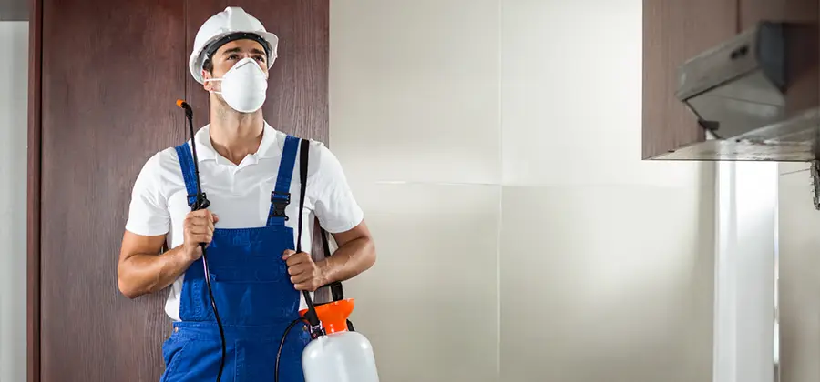 Per Room Bed Bug Cost in Peachtree City