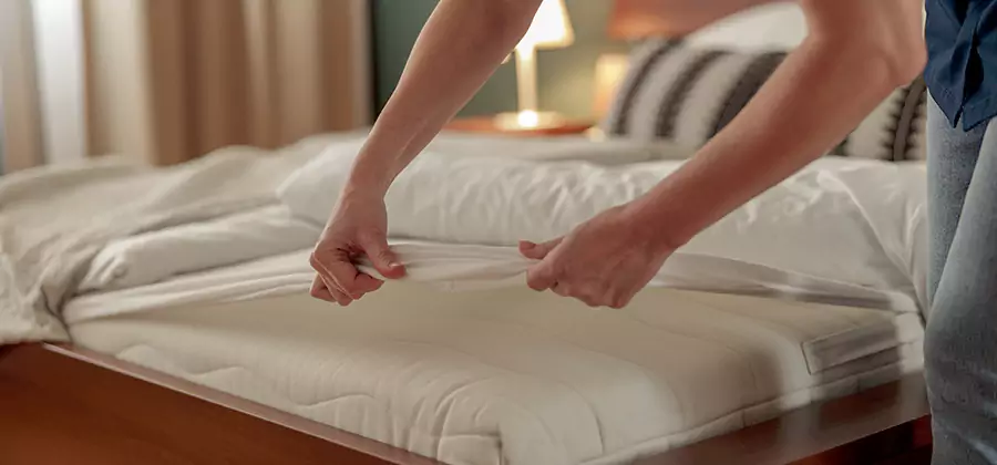 Bed Bug Extermination Services in Peachtree City