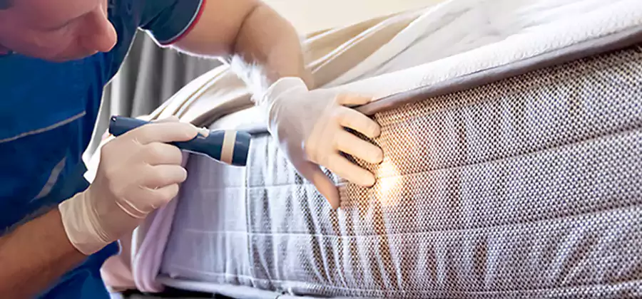 Residential Bed Bug Treatment Cost in Peachtree City
