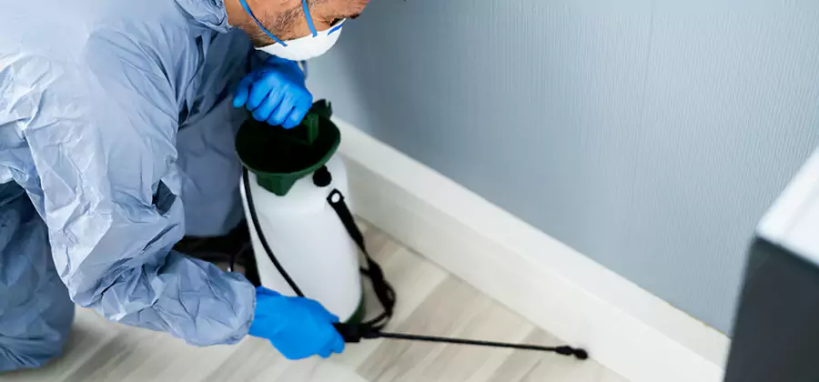 Fumigate Apartment Roaches in Peachtree City