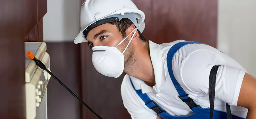 Injection Foam Treatment for Drywood Termites in Peachtree City