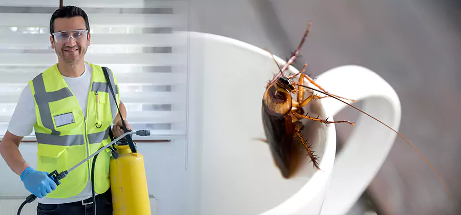 German Roach Infestation Treatment Peachtree City