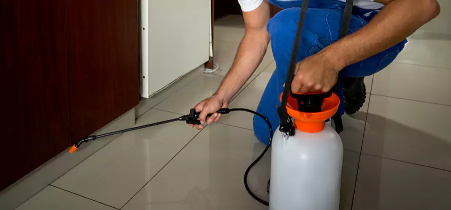 Indoor Mosquito Treatment in Peachtree City