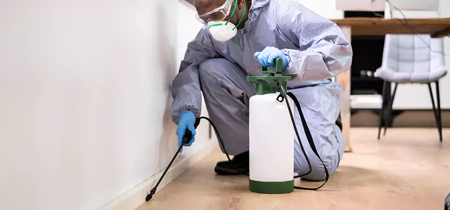 Long Lasting Mosquito Treatment in Peachtree City