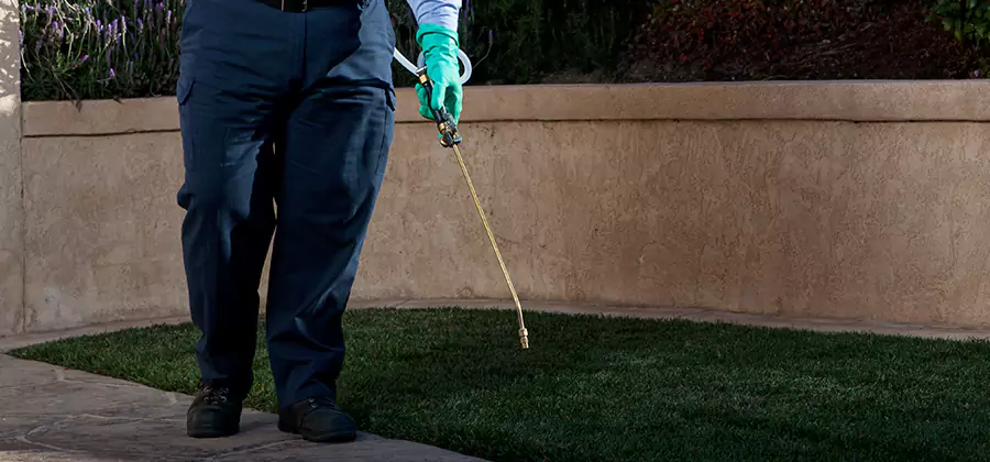 Soil Treatment for New Construction Termites in Peachtree City