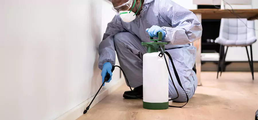 No Tent Termite Extermination With Electric Tool in Peachtree City