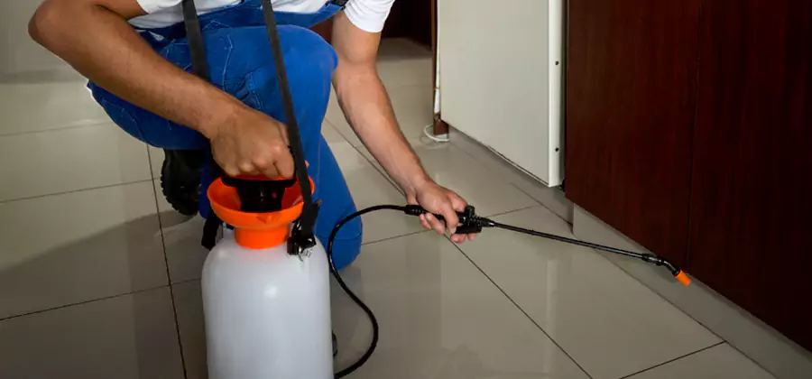 One Time Termite Control in Peachtree City