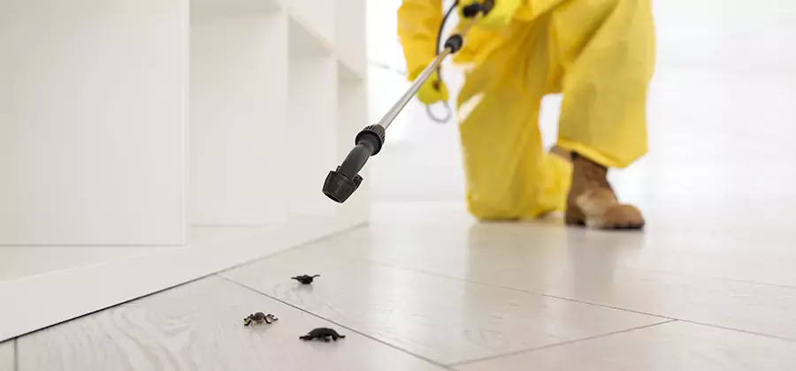 Roach and Bed Bug Exterminator in Peachtree City