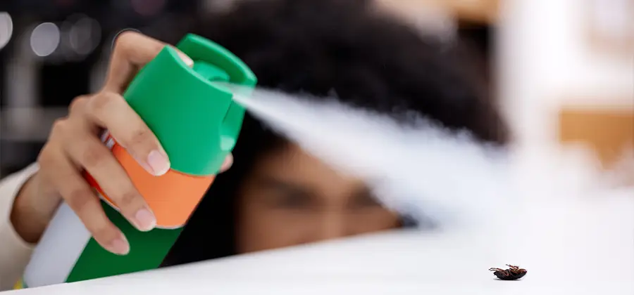 Child Safe Bed Bug Treatment in Peachtree City