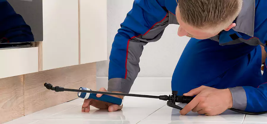 Moisture Treatment For Termite Control Service in Peachtree City