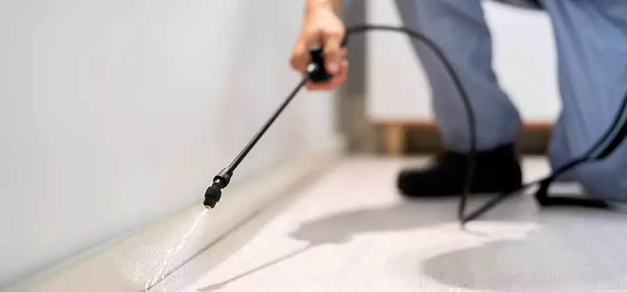 Direct Termite Injection Treatment in Peachtree City